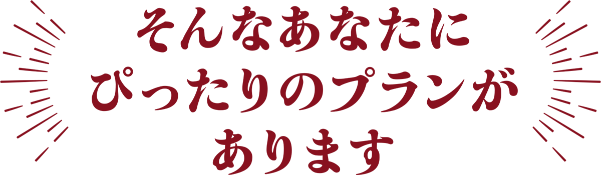 そんなあなたにぴったりのプランがあります